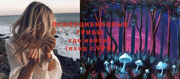 экстази Ельня